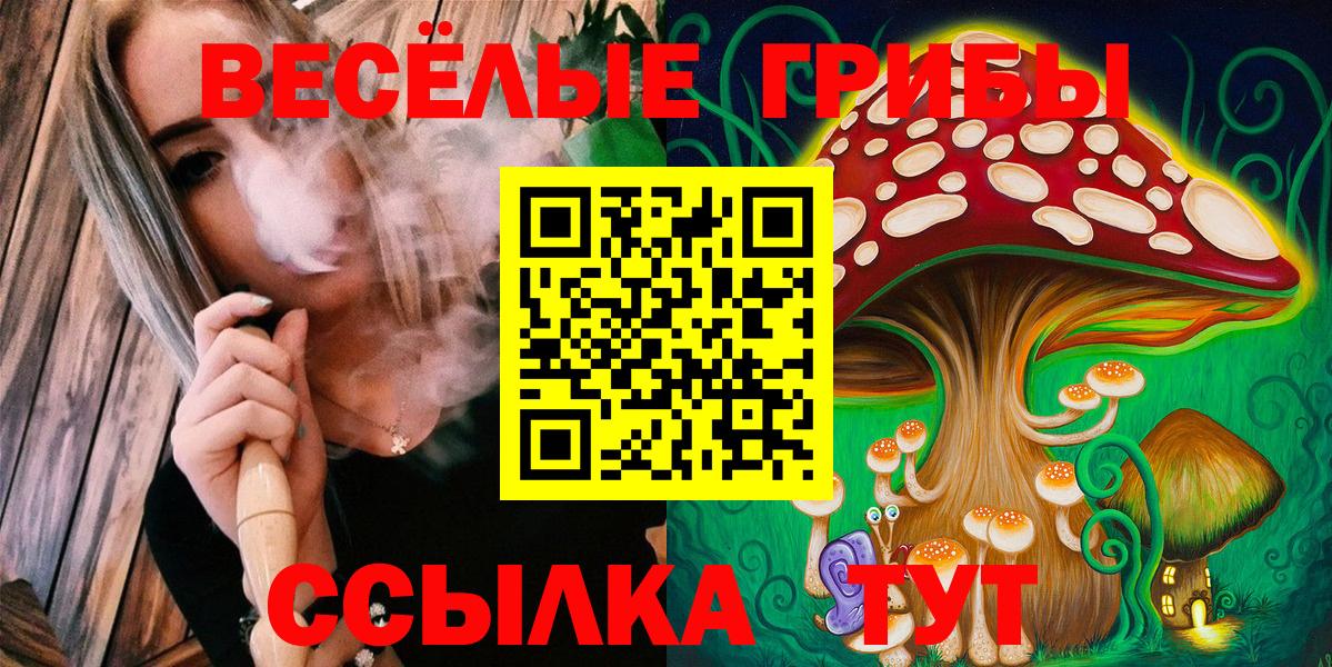 Галлюциногенные грибы Psilocybine cubensis Зеленокумск