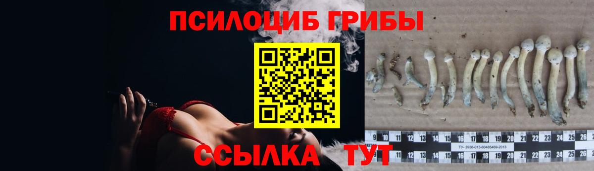 Галлюциногенные грибы ЛСД  Вход с VPN  Зеленокумск 